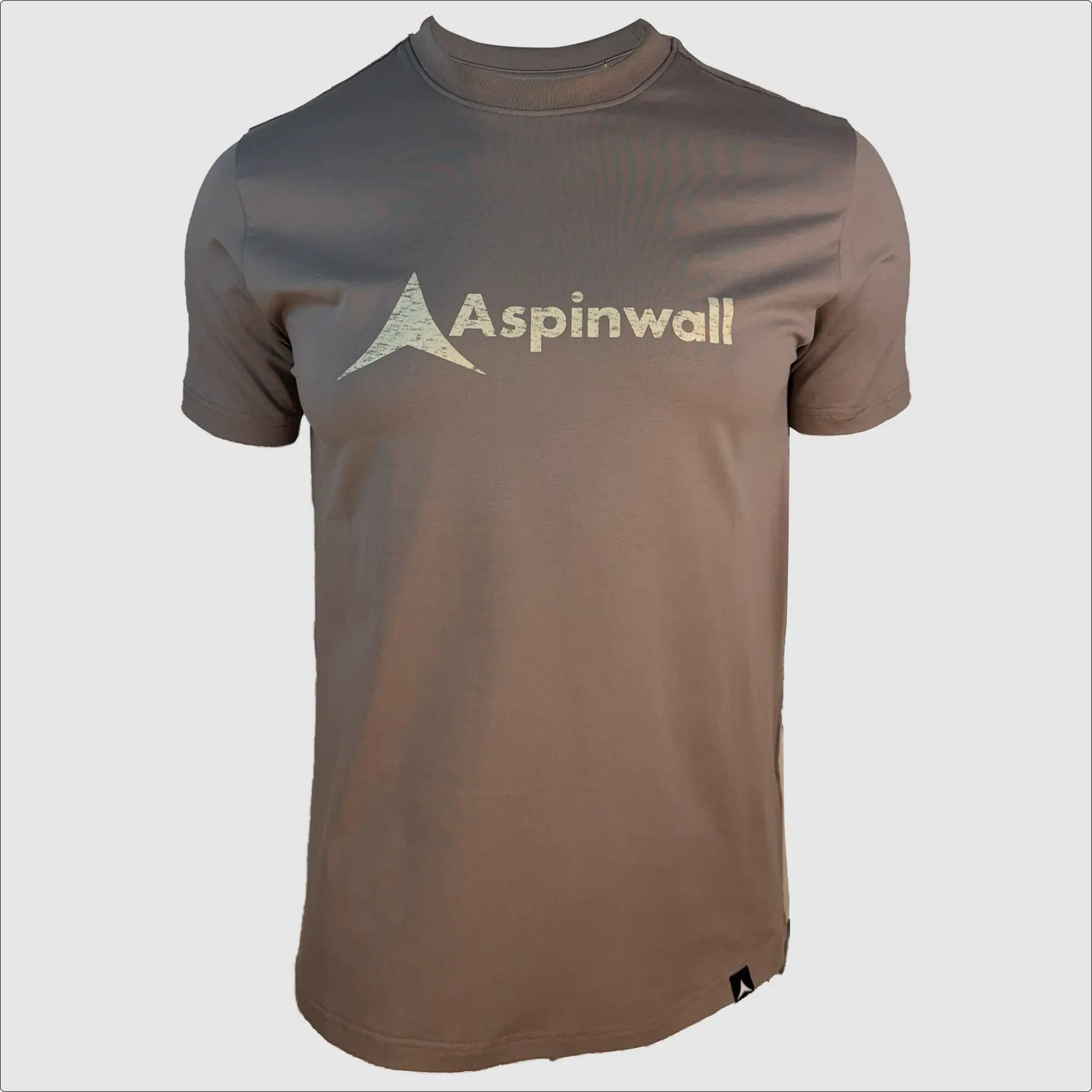 Distressed Trademark Foundations T-Shirt ~ Ash