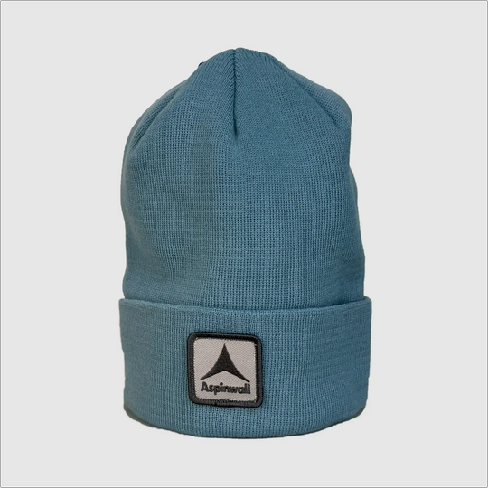 Wet Bandits Beanie ~ Blue
